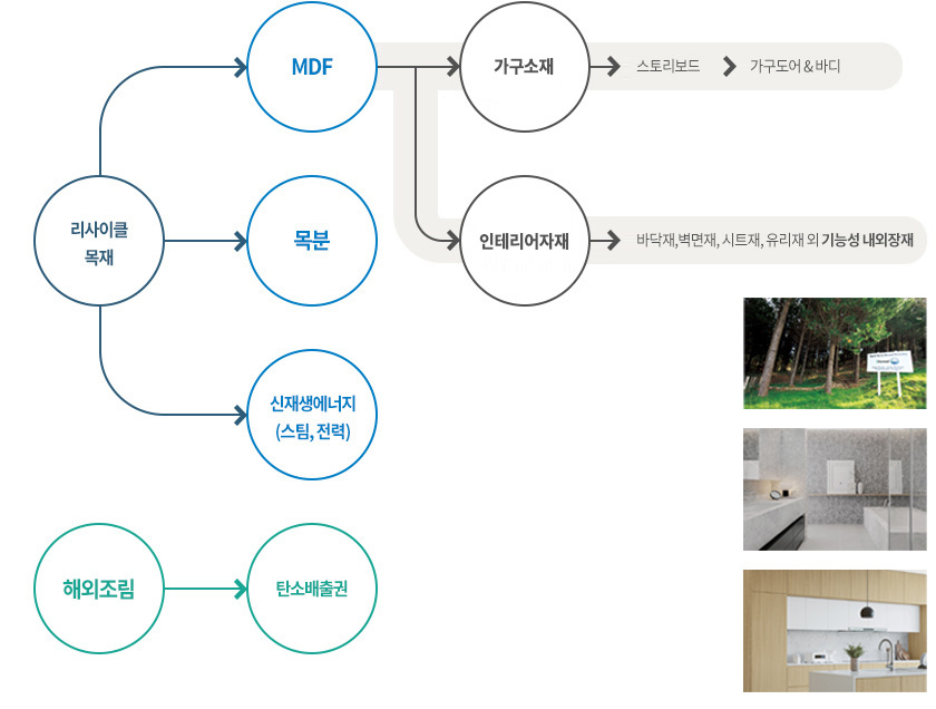 해외조림( → 탄소배출권) → 제재목 → MDF /가구컴포넌트 : MDF → 보드표면 가공 → 가구도어 생산 → 가구산업 진출 /인테리어자재 제조 유통 : MDF → 바닥재, 벽면재, 도어재 /연관사업 : MDF → 신재생에너지(스팀, 전력), 목분