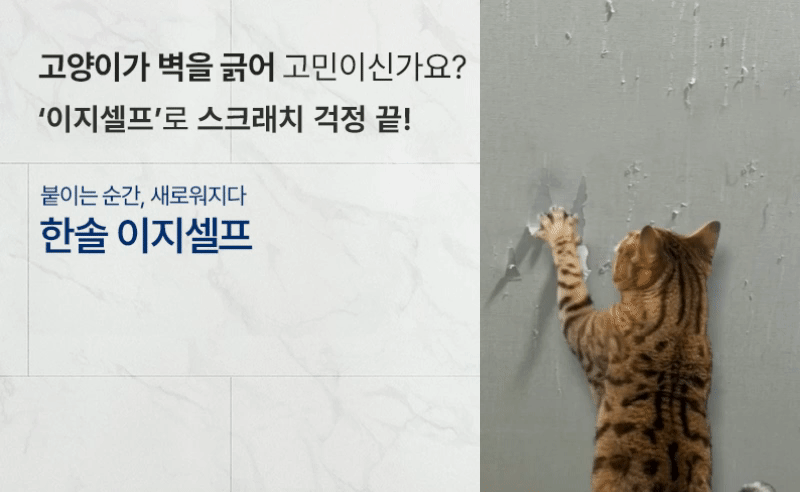 이지셀프 출시
